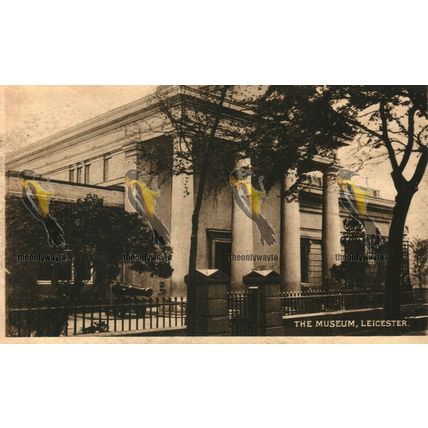 Museum, Leicester, 2153 Tuck's Photogravure Postcard