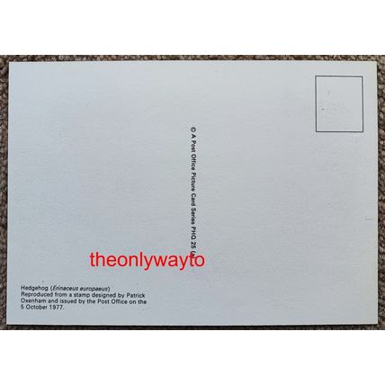 Hedgehog (Erinaceous europaeus), 9p Post Office Postcard PHQ 25 (a), 1977