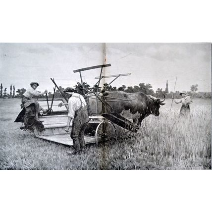 FIELD WORK DURING THE WAR 1915 Louis Rémy Sabattier FRANCE WORLD WAR I PRINT
