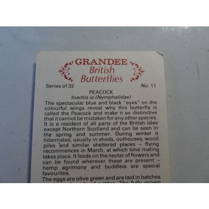 1983 Grandee British Butterflies Card # 11 of 32 Peacock Very Good-Excellent (4)