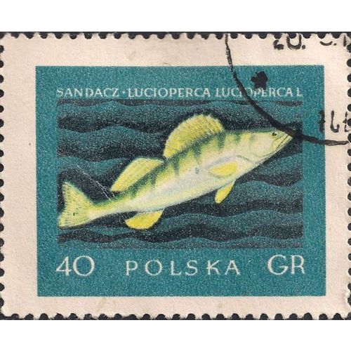POLAND, FISH, Sander, blue 1958, 40 Gr