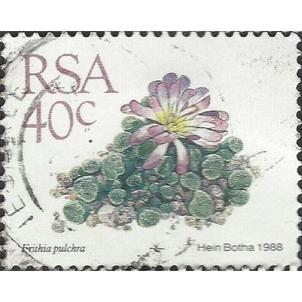 SOUTH AFRICA, SUCCULENT, Frithia Pulchra, white 1988, 24mm, #4