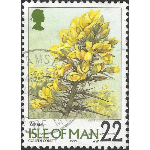 ISLE O MAN, FLOWER, Gorse, Ulex europaeus, green 1999, 22p [ ]