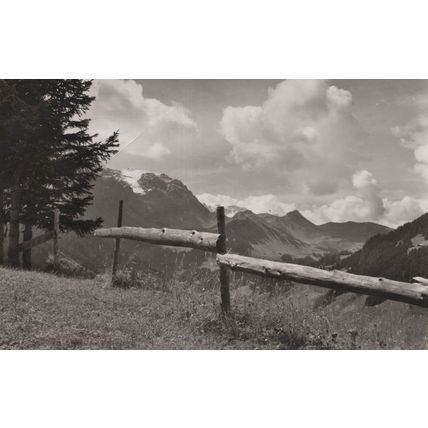 Wannegg In Adelboden Old Real Photo Switzerland Postcard