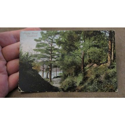 1909 fr Postcard - Angley Wood, Cranbrook - Nr Maidstone Kent