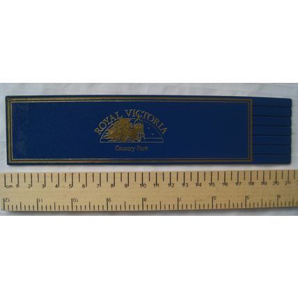 Vintage: blue leather bookmark - Royal Victoria Country Park