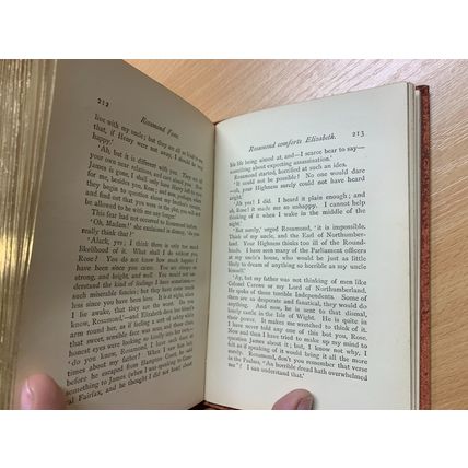 RARE* 1880s MARY & CATHERINE LEE "ROSAMOND FANE" FICTION ANTIQUE BOOK (P4)
