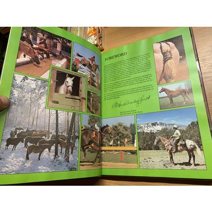 1981 "ENCYCLOPEDIA OF THE HORSE" HEAVY LARGE ILLUSTRATED HARDBACK BOOK (P7)