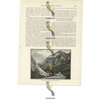 Winnats (Wind-Gates) Castleton, Derbyshire, Book Illustration (Print), 1894