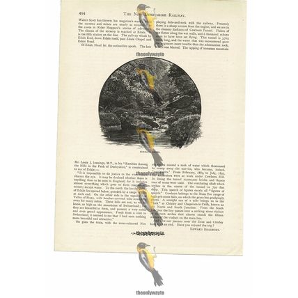 Burbage Brook, Derbyshire, Book Illustration (Print), 1894