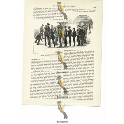 Paying Pocket Money In Training, Naval History, Book Illustration (Print), 1894