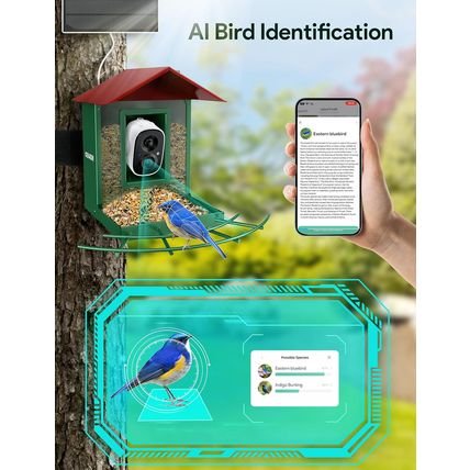 Osoeri Bird Feeder with Camera - AI Detective Auto Films Bird Action, Live Wildl