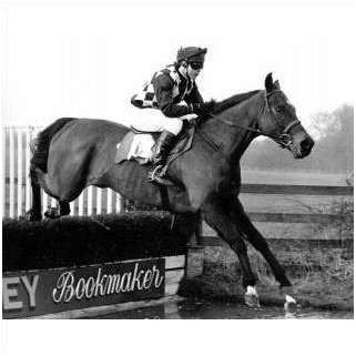 Horse Racing photo LACIDAR Ger Lyons 1989