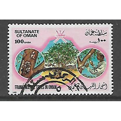 OMAN 1985 100b FRANKINCENSE TREE SG 320 FINE USED