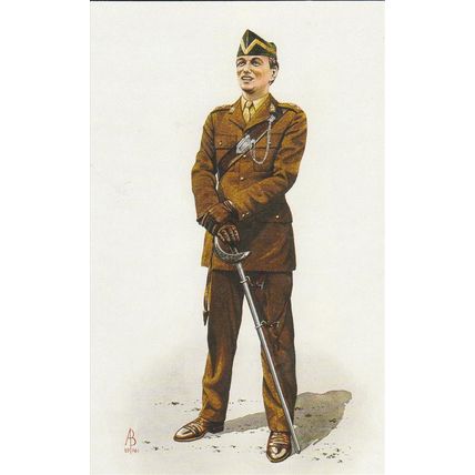 Officer The Queens Royal Irish Hussars 1989 Postcard (U13742)