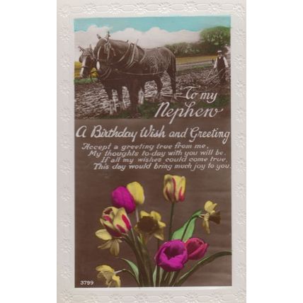 Farm Horses Farming Farmer Nephew Happy Birthday Antique Real Photo Old Postcard