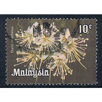 Malaysia 1978 SG191 mal20 Durio Zibethinus 10c Used Stamp