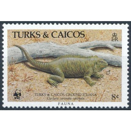 Ground Iguana - Turks & Caicos Islands 1986 - MNH - SG 888
