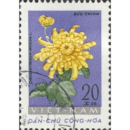 VIETNAM, FLOWER, Chrysanthemum, violet 1962, 20xu