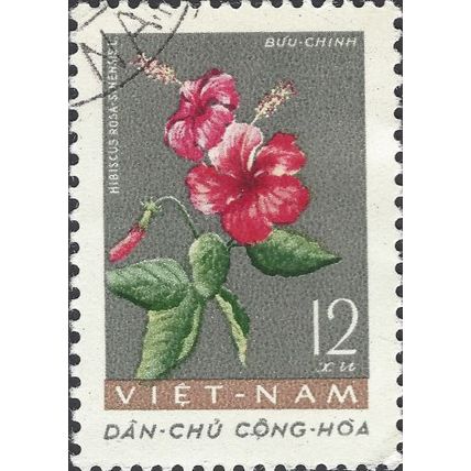 VIETNAM, FLOWER, Hibsicus, rosa Sinensis, grey 1962, 12xu