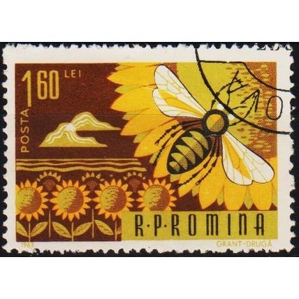 Romania. 1963 1L60 S.G.3087 Used