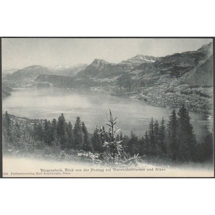 Bürgenstock, Vierwaldstättersee und Alpen, c.1910 - Karl Engelburger AK