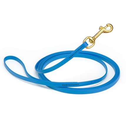 Dog Pet Leash Cerulean Blue w/ Brass Hardware W 3/8" - L10'