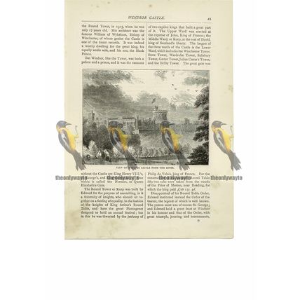 Windsor Castle from the River Thames, England, Book Illustration (Print), 1891