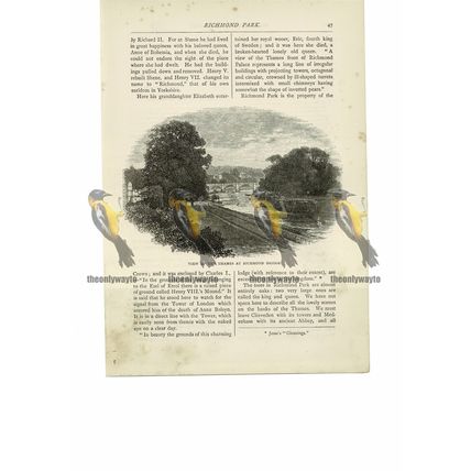 Thames At Richmond Bridge, London, England, Book Illustration (Print), 1891