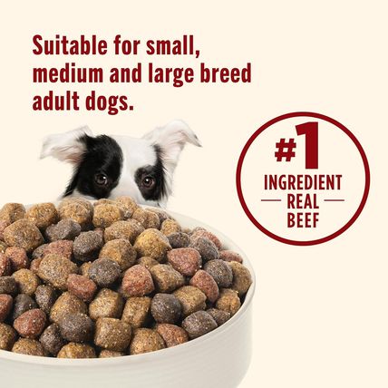 Nutrish Dry Dog Food, Real Beef, Pea & Brown Rice Recipe Whole Health Blend for