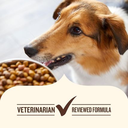 Nutrish Dry Dog Food, Real Beef, Pea & Brown Rice Recipe Whole Health Blend for