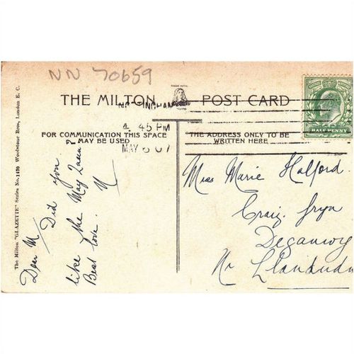 Sherwood Forest Nottingham Nottinghamshire Postcard (NN70659))