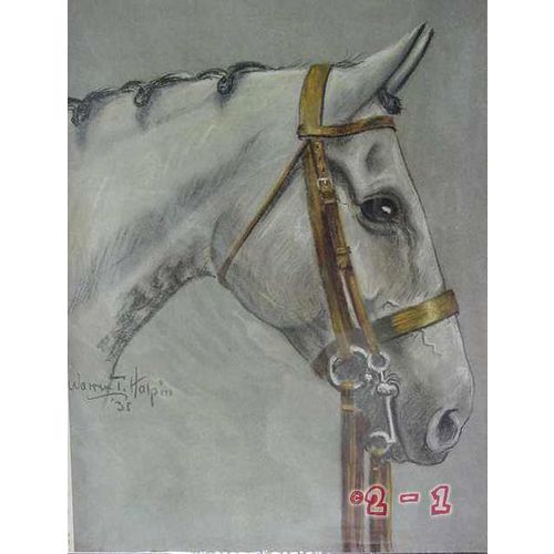 WARREN T HALPIN 1935 white horse bridle Arabain animal vintage print