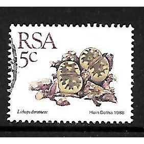SOUTH AFRICA 1988 SUCCULENTS 5c GIBBAEUM NEBROWNIL SG 656 FINE USED#