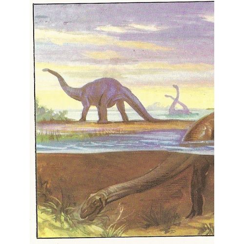 Panini's Dinosaurs Sticker Collection - Sticker No. 79