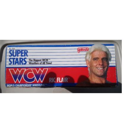 wcw wwf ljn hasbro galoob wrestling superstars 12" ric flair wrestling figure
