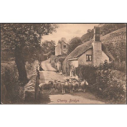 Cherry Bridge, Lynmouth, Devon, 1911 - Frith's Postcard