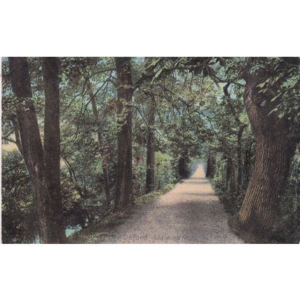 EC216 OXFORD - ADDISON WALK. COLOURED PRINTED POSTCARD