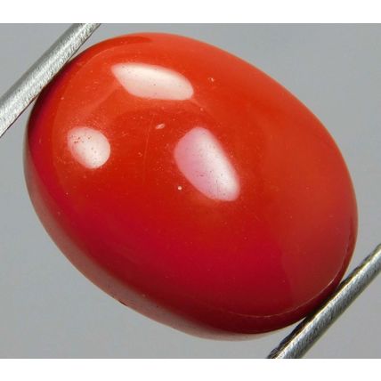 100% Natural 11.90 Ct Coral Oval Cut Rare Italian Loose Gemstone