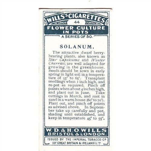 Wills Flower Culture In Pots Card No. 44 Solanum