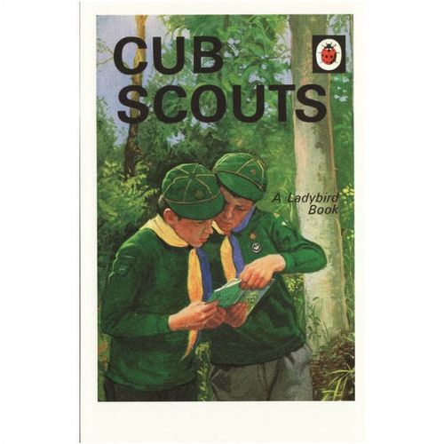 Postcard Cub Scouts Ladybird Book Cover 1970 Guides David Harwood John Berry