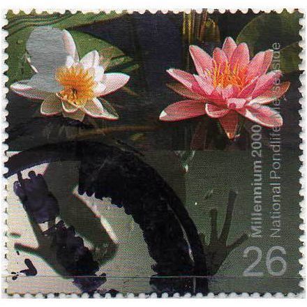 Great Britain 2000 Water & Coast 26p Merseyside Used SG 2135 Sc 1899 stamp