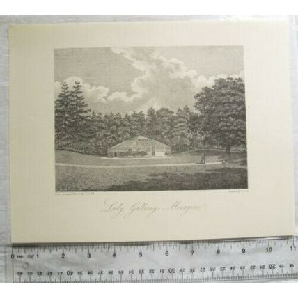 1804 engraving Lady Gallway's Menagerie, Doncaster
