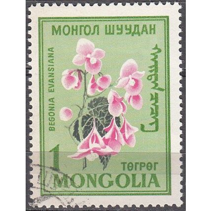 Mongolia 1960 Michel 191 O Cote (2006) 1.00 Euro Fleur Begonia grandis