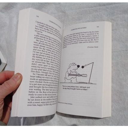Chicken Soup for the Cat and Dog Lovers Books 1999 Paperback