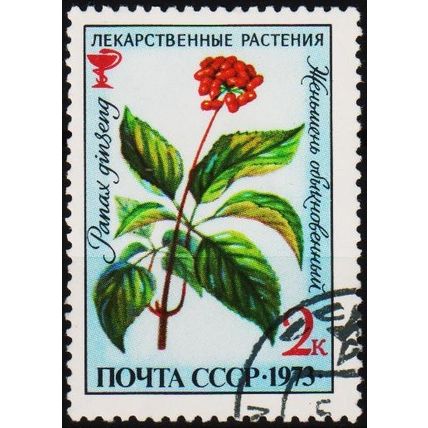 Russia. 1973 2k S.G.4204 Used