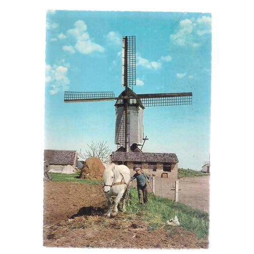 WINDMILL AND HORSE WITH PLOUGH, HOLLAND used postcard. 1967 postmark =