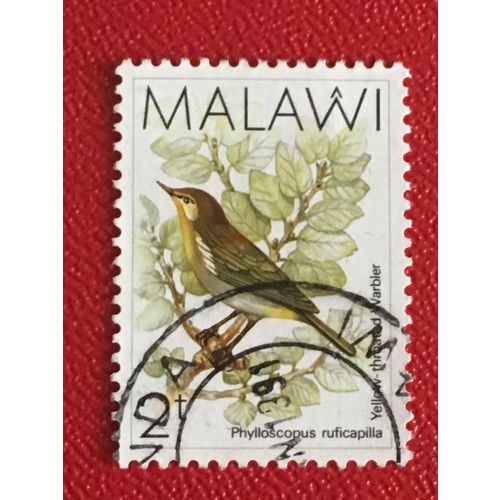 Malawi 1988 2t Yellow Throated Woodland Warbler Used SG 790 Sc 519 bird stamp