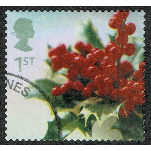 2002 Christmas Plants 1st Multicoloured SG2322 FU