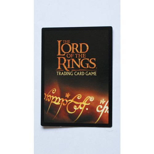 Lord of the Rings CCG Fellowship # 188 The Long Dark (A) 2001 decipher lotr